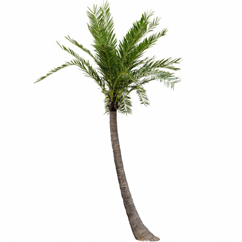 海滩仿真椰子树_弯杆仿真椰子树